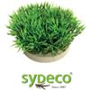 MANTOVANI Pianta Sydeco Prato cm 6. Mantovani. Decorazioni Per Acquari