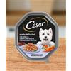 Cesar Scelta Dello Chef Agnello Carote Coriandolo in Gelatina gr 150.Cibo Umido Per Cani