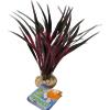 MANTOVANI Pianta Sydeco Amazonia cm 22. Decorazioni Per Acquari