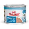ROYAL CANIN Starter Mousse Dog Gr 195. Puppy.