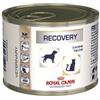 ROYAL CANIN RECOVERY GR.195 PER CANI E GATTI