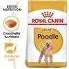 ROYAL CANIN Barbone 30 Kg.1,5 Royal Canin. Cibo Secco Per Cani