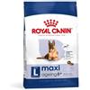 Royal Canin Maxi Agein 8+ Kg 3 . Cibo Secco Per Cani Anziani