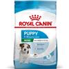 Royal Canin Mini Puppy Secco Cane kg 2 . puppy