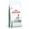 ROYAL CANIN Diabetic Kg.1,5 Royal Canin Alimento Dietetico per Cani