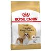 Royal Canin Cavalier King kg 1,5 . Alimento Per Cani