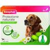 BEAPHAR Spot On Cane Grande maggiore30Kg Protezione Naturale Beaphar. Antiparassitario Per Cani