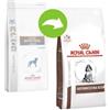 ROYAL CANIN GASTROINTESTINAL PUPPY CANE KG.2,5