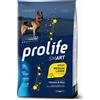 Prolife Smart Adult Medium/Large Chicken and Rice Kg.12 Cibo per Cani