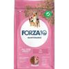 Forza 10 Mantenimento Maiale All Breeds kg 12. Cibo Secco Per Cani