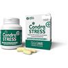 innovet CONDROSTRESS 90 CPR INNOVET
