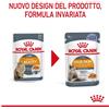 ROYAL CANIN Hair And Skin Jelly busta GR 85 ROYAL C.