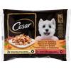 Cesar Delizie Del Giorno Multipack Selezione Senior 4X100 gr. Cibo Umido Per Cani.