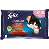 Felix Multipack Ghiottonerie Junior 4 x 85 gr. Cibo per cuccioli di gatto.