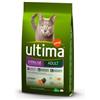 AFFINITY Ultima Cat sterilizzato Salmone kg 1,5. Cibo secco per gatti