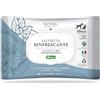 MENNUTI Salviette Rinfrescanti Derbe con olio essenziale di Menta e succo diAloe