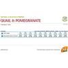farmina NATURAL & DELICIOUS GATTO GRAIN FREE ZUCCA QUAGLIA & MELOGRANO GR.300