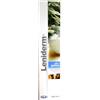 ICF LENIDERM SPUMA DETERGENTE ML.200 ICF