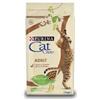 TONUS PURINA CAT CHOW ANATRA KG.1,5
