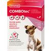 PET VILLAGE SRL Beaphar Combotec Cane Piccolo 1-10 kg- 3 fiale - Antiparassitario Per Cani