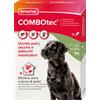 PET VILLAGE SRL Beaphar Combotec Cane Grande 20-40 kg -3 Pipette- Antiparassitario Per Cane