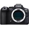CANON EOS R6 MARK II + RF 24-105MM F4 L IS USM