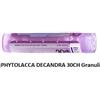 Boiron Phytolacca De Boi 30ch Gr 4g