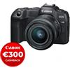 Canon EOS R8 + RF 24-50mm f/4.5-6.3 IS STM