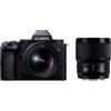 Panasonic Lumix S5II + 20-60mm f/3-5-5.6 OIS + S 50mm f/1.8