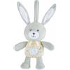 Chicco - coniglietto polvere di stelle