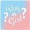 Bigiemme Tovagliolo 25 X 25 cm - 20 pezzi - Baby Gender Reveal - Boy Or Girl?