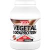 WHY SPORT VEGETAL 100% PROTEIN 750 GR CACAO Proteine Vegetali da Soia Pisello