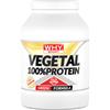 WHY SPORT VEGETAL 100% PROTEIN 750 VANIGLIA Proteine Vegetali da Soia Pisello