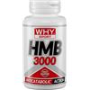 WHY SPORT HMB 3000 90CPR Integratore