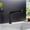 Fortis Brera top rubinetto da cucina, 7857900MB, Brera nero opaco [Rubinetteria da Cucina > Rubinetti da Cucina]