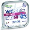 Monge vet solution umido canine recovery 150 g
