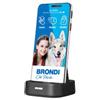 BRONDI AMICOSMSPB S.PHONE SENIOR 5.7" 4G 2SIM SOS CONTROLLO REMOTO+