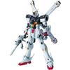 Bandai GUNDAM - 1/100 Crossbone Gundam X-1 Ver. Ka Master Grade Model Kit MG Bandai