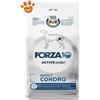 Forza10 Dog Active VetDiet Adult Condro - Sacco Da 10 Kg