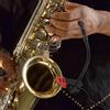 Clip sul microfono a condensatore strumentale, registrazione vocale Live Show