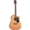 Washburn Apprentice Series D5CE-Pack Dreadnought 6 Corde Chitarra Acustica/Elettrica con Accessori