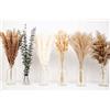 Naunauya 110 pezzi Set di decorazione con erba delle Pampas essiccata in stile bohémien - Bouquet di fiori secchi naturali con eucalipto, code di coniglio e erba di palude | 35-43 cm Piccola pampa per