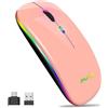 AMZCASE Mouse wireless Bluetooth,mouse sottile Mouse wireless USB ottico portatile 2.4G,mouse LED a doppia modalità ricaricabileper laptop,PC,Mac OS,Android,Windows
