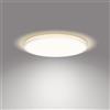 Philips Ozziet pannello LED, LED, 8719514431942, Ozziet [Lampade per Interni > Pannelli LED]
