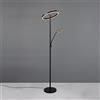 TRIO Leuchten Willis lampada da terra, LED, 449510232, Willis [Lampade per Interni > Lampade da Terra]