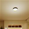 Philips Hanno lampada a soffitto, LED, 8720169301337, Hanno [Lampade per Interni > Lampade a Soffitto]