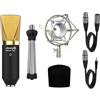 Audibax Berlin 1800 Gold - Microfono a Condensatore da Studio - Risposta in Frequenza 20 Hz/20 KHz - Microfono Professionale con Schema Polare Cardioide - Diaframma Largo - Colore Dorato