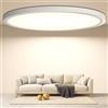 DetarZinLED Ø30cm Spessore2,5cm Plafoniera Lampada da soffitto a LED,Lampada da bagno impermeabile IP44 Rotonda Piatta 24W 4000K 2640LM Sottile per Soggiorno Bagno da letto Cucina Seminterrato Ufficio