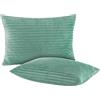BaSaTex Federe invernali in peluche | Confezione da 2 federe da 40 x 60 cm | Cashmere Touch Coral Fleece Rip-Cord | Cuscino decorativo per divano | chiusura lampo | Salvia