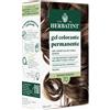 ANTICA ERBORISTERIA SpA Gel Colorante Permanente 7D Herbatint® 1 Kit